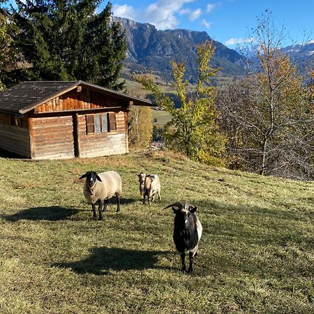 Encia'S Home Dolomiti Castello-Molina di Fiemme Eksteriør bilde